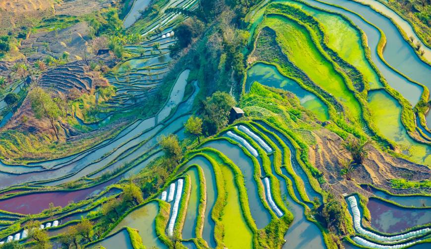 走进青山湖区TVC拍摄：解锁本地化场景与创意镜头的完美融合